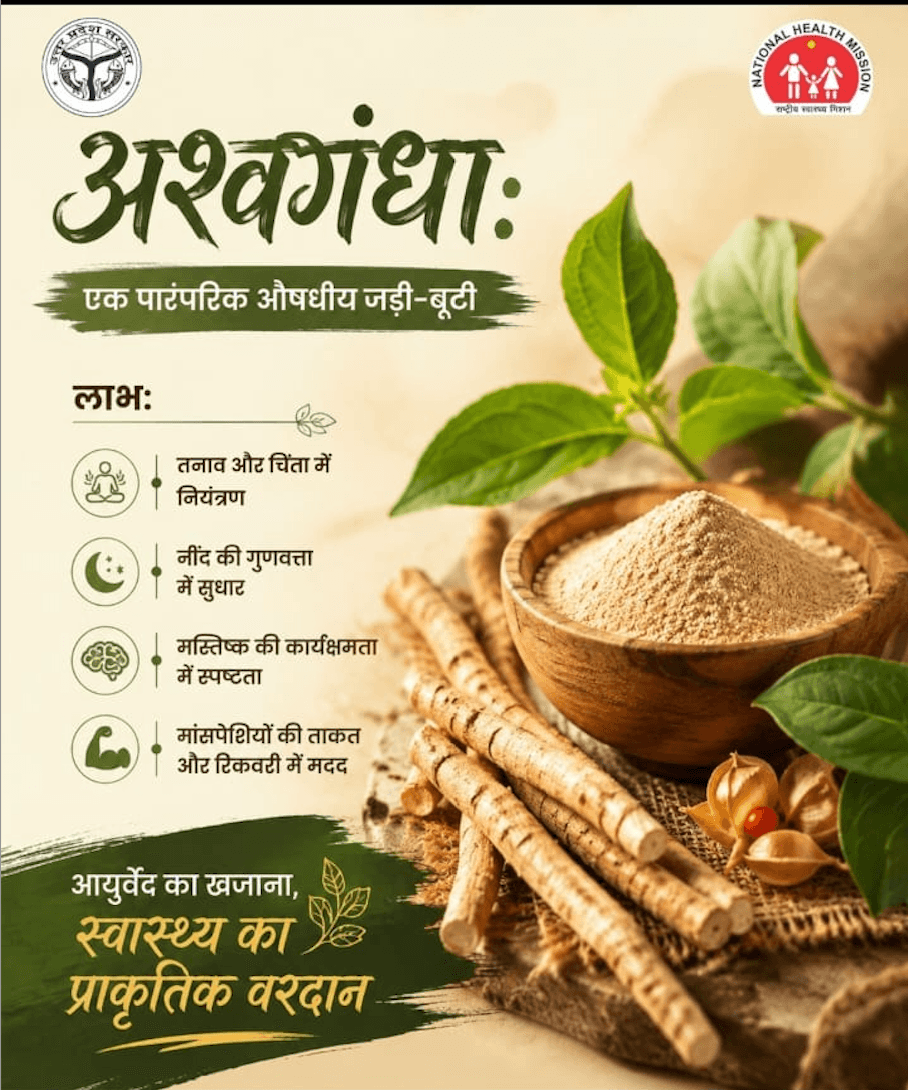 Hindi Ashwagandha wellness benefits information creative